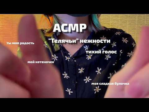 Видео: АСМР | Тихий голос | "Телячьи" нежности (похвалю и приласкаю)