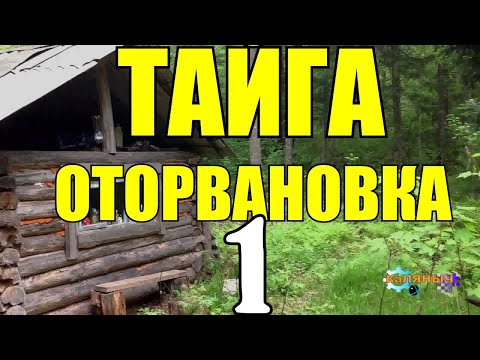 Видео: Егерь нашел хижину в лесу, спустившись в подвал он оцепенел, увидев…