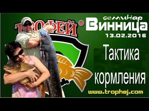 Видео: Семинар в Виннице.  Часть 8.  Тактика кормления.