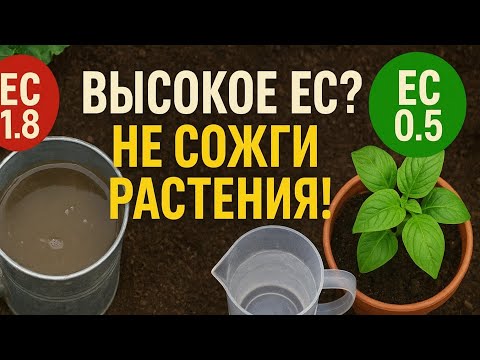 Видео: Как подкармливать НПК, если вода солёная (высокое ЕС) — не сожги растения! #zemljadel