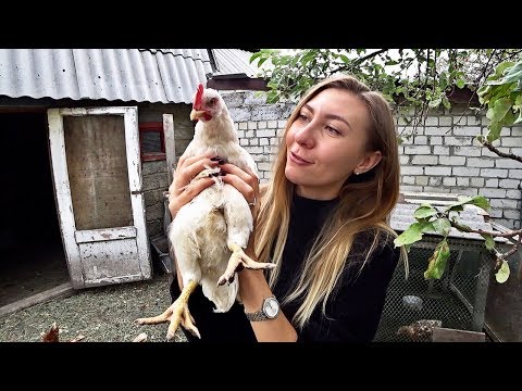Видео: VLOG - Едем к родителям Наши курочки Занавески на выброс или можно исправить?