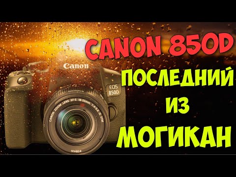 Видео: Canon 850D полный разбор от владельца. Зеркалка в 2022 году плюсы и минусы