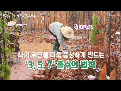 Видео: Очень простое правило, которое делает садовые клумбы более богатыми!