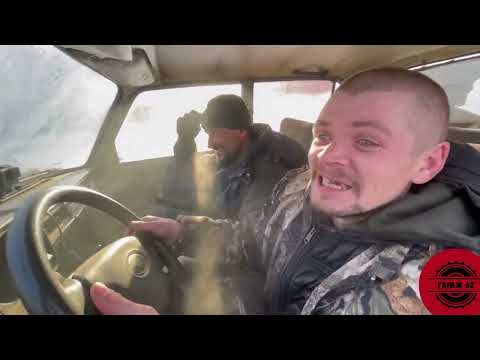 Видео: Клык дал взад! Такого вы ещё не видели