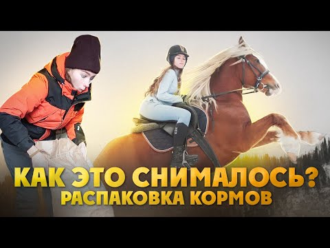 Видео: VLOG: Бекстейдж СЪЕМКА КЛИПА с конем / РАСПАКОВКА кормов / Прогулка с Харди