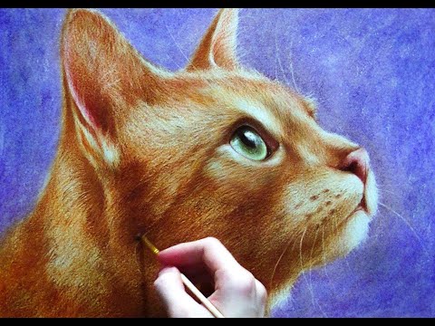 Видео: Мастер-класс по сухой кисти "Рыжий кот" часть 3