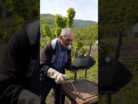 Видео: Супер подставки для ульев
