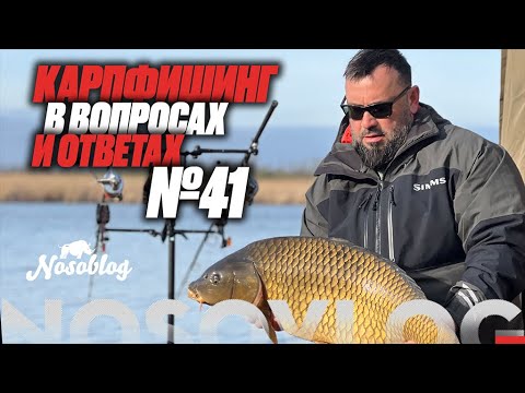 Видео: Карпфишинг в вопросах и ответах #41, Колесников А.