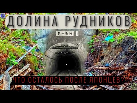 Видео: Что нашли ДИГГЕРЫ в ЛЕСУ? | Сахалинский Эльдорадо