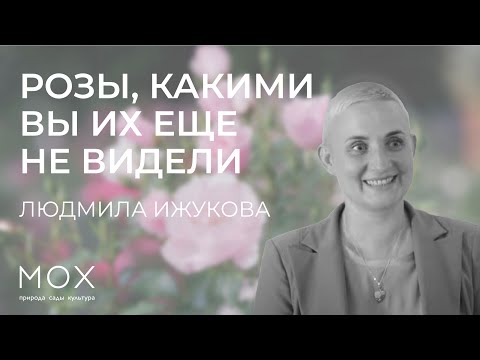 Видео: «МОХ»: розы, какими вы их еще не видели: ботанические приключения самого популярного цветка