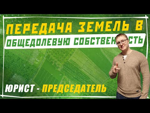 Видео: Передача земель в общедолевую собственность СНТ | Председатель - юрист