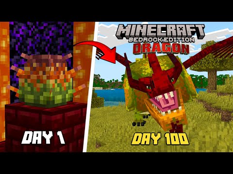 Видео: ЕЩЕ 100 ДНЕЙ В «Как приручить дракона» Minecraft Bedrock Edition!