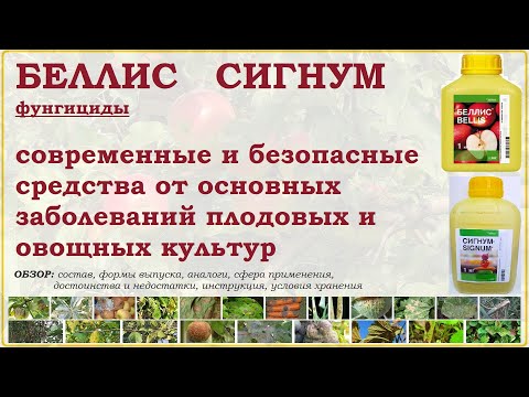Видео: Беллис и Сигнум - современные безопасные средства от основных болезней плодовых и овощных культур