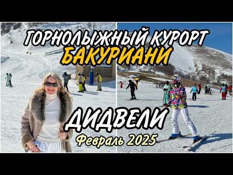 Видео: Новый Бакуриани. Прогулка на Дидвели. Отдых на горнолыжном курорте без лыж. Февраль 2025 #georgia