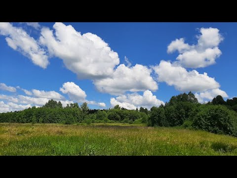 Видео: Смоленская область, Хиславичский район, д.Тереховка. 22.07.2022.