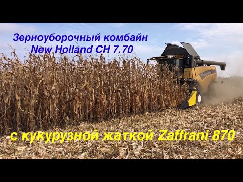 Видео: Зерноуборочный комбайн New Holland CH 7.70 с жаткой Zaffrani 870