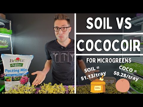 Видео: ВЫРАЩИВАНИЕ МИКРОЗЕЛЕНИ ПОДСОЛНЕЧНИКА в ПОЧВЕ вместо КОКОСА!
