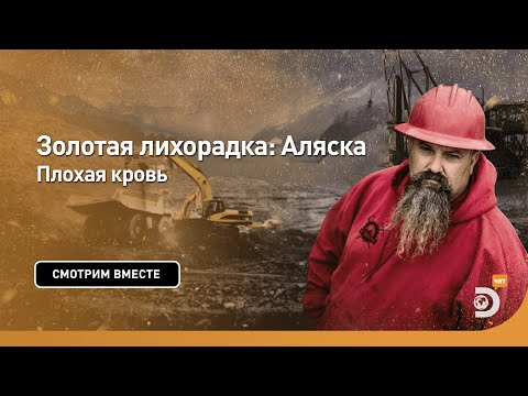 Видео: Плохая кровь | Золотая лихорадка: Аляска | Discovery