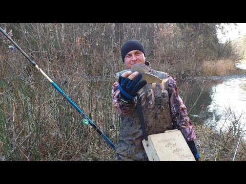 Видео: ХАРИУС НА ТАЁЖНОЙ РЕЧКЕ В ОКТЯБРЕ, ПО ШУГЕ ч.2. Гребаные штаны!