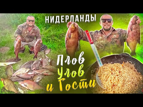 Видео: ОСТОРОЖНО! БОЛЬШОЙ УЛОВ И РАССЫПЧАТЫЙ УЗБЕКСКИЙ ПЛОВ В ПОЛЕВЫХ УСЛОВИЯХ рыбалка в Голландии 3ч