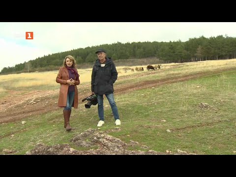 Видео: В света на малките производители на храна, "Бразди" 18.10.2025