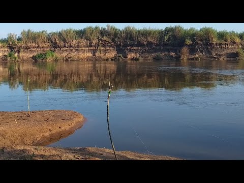 Видео: Рыбалка на Судака с ночёвкой.