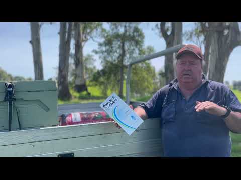 Видео: 🐝 Bayvarol вводят в ульи Эджферн для борьбы с высокой численностью клещей Варроа. Мед долины Орара