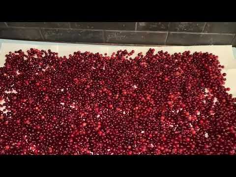 Видео: #ягода#клюква#иммунитет Заготовки из клюквы