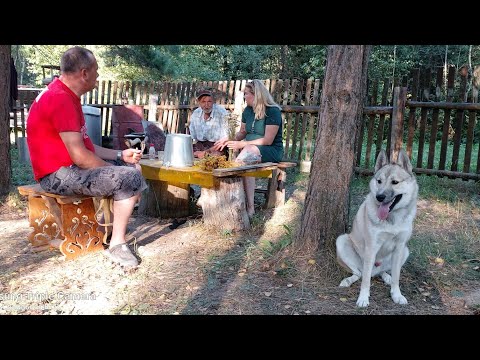 Видео: Едем за Громом