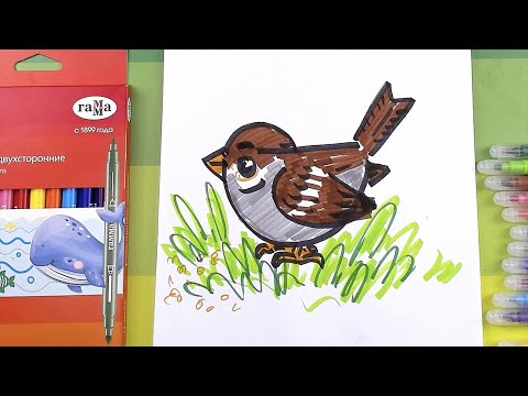 Видео: Как нарисовать ВОРОБЬЯ - урок рисования