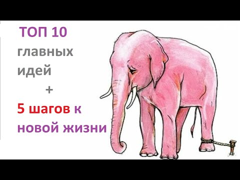 Видео: Теория и практика. Выученная беспомощность VS Выученный Оптимизм!