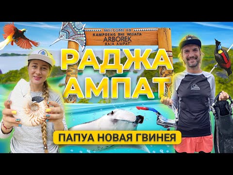 Видео: РАДЖА АМПАТ / RAJA AMPAT / ПАПУА НОВАЯ ГВИНЕЯ / PAPUA NEW GUINEA / АПРЕЛЬ 2021