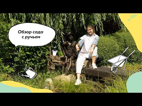 Видео: Обзор сада с ручьем лето 2023 г. | Обзор сада лето | Кулисная посадка | Ландшафтный дизайн