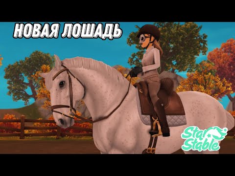 Видео: Новая Липпицианская лошадь|Star Stable|Обновление|