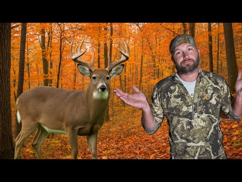 Видео: Сколько встреч с оленем? (Несколько дней активного отдыха для Зака ​​в Западной Вирджинии)