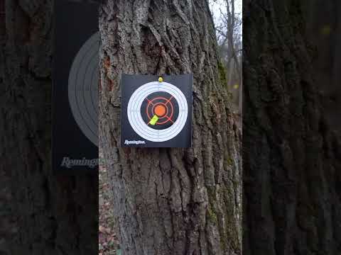 Видео: Reximex force 2 против Леший 2,СЕНСАЦИи нет). Приятно провели время.