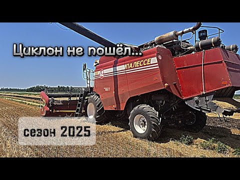 Видео: Уборка набирает обороты! Палессе на обмолоте пшеницы.