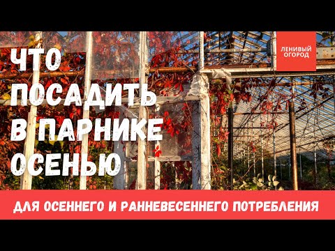 Видео: Как использовать парник во вторую смену | Что посадить в теплице осенью | Ленивый огород
