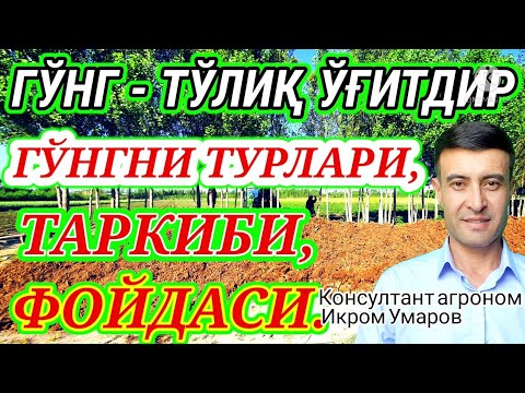 Видео: G‘O‘NG‘: ENG YAXSHI O‘G‘IT! 87-son. ГУНГ. НУРИЙ