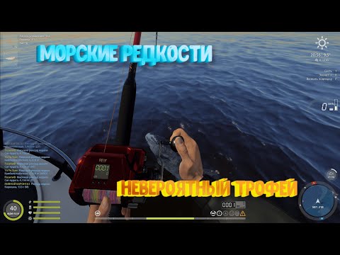 Видео: Морской троллинг #3 / Мега-трофей опаха / Русская Рыбалка 4 / Russian Fishing 4 #rf4 #рр4