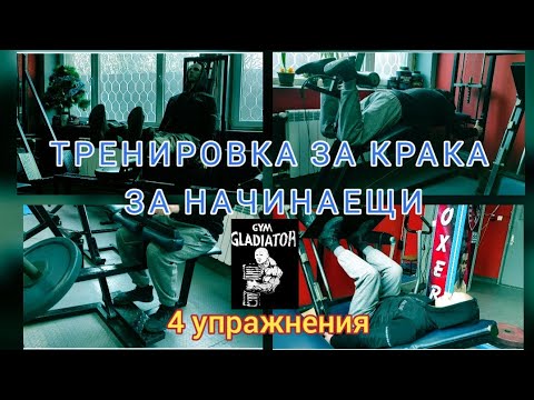 Видео: Тренировка за Крака за НАЧИНАЕЩИ - 4 Упражнения