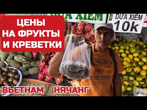 Видео: Вьетнам. Здесь едят собак? Рыбный рынок в Нячанге. Чамские башни. #вьетнам #нячанг #чамскиебашни