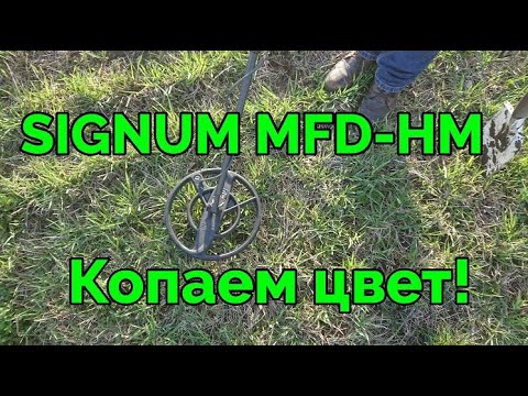 Видео: Интересный коп с металлоискателем AKA Signum MFD-HM на выбитом месте.