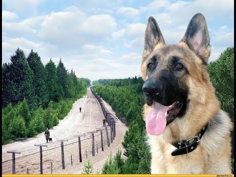 Видео: Песни Пограничников . Сборник песен.