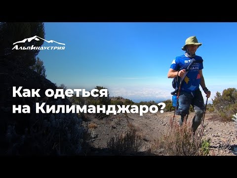 Видео: Как одеться на Килиманджаро?