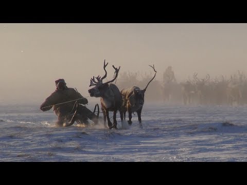 Видео: Нижняя Колыма. Родовая община "Турваургин"