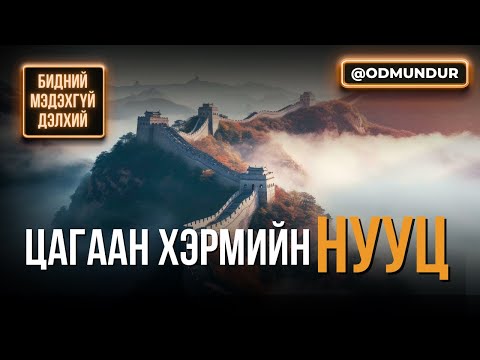 Видео: Цагаан хэрмийн нууц - БИДНИЙ МЭДЭХГҮЙ ДЭЛХИЙ
