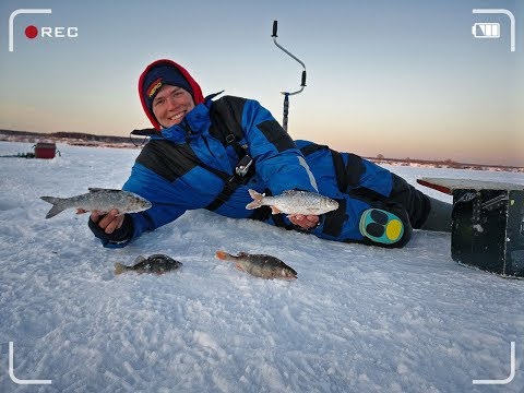 Видео: Бегущий ЛЕЩ #Секретычемпиона