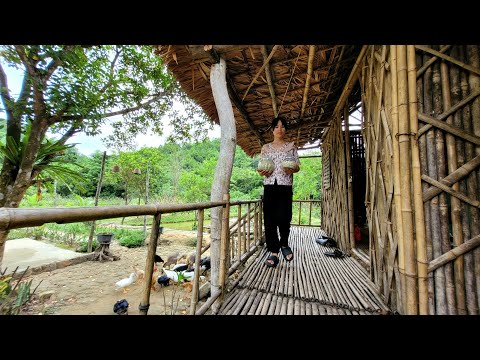 Видео: Собирайте побеги бамбука, Кормите домашних животных, Живите на природе