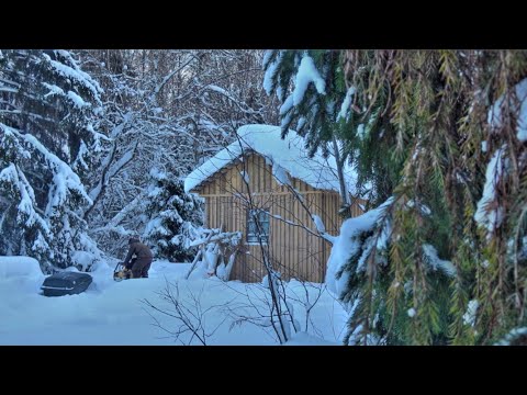 Видео: Живу ОДИН в ТАЁЖНОЙ ИЗБЕ. МОРОЗ -30! СПАСАЮ КАБАНОВ! Обзор мотобукса SHARMAX S500 1450 HP20 ENDURO